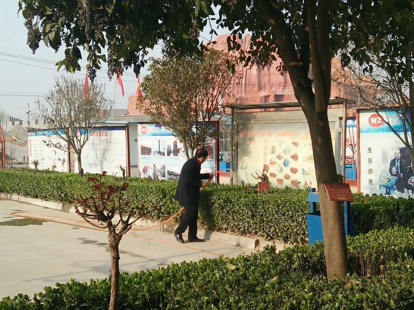 身先力行,伟志模板来董说:植树就要护理好